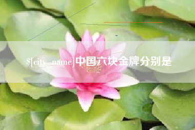 齐河中国六块金牌分别是