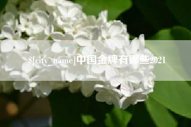 齐河中国金牌有哪些2021