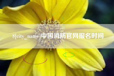 齐河中国消防官网报名时间