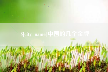 齐河中国的几个金牌