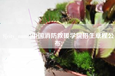 齐河中国消防救援学院招生章程公布!
