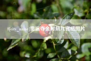 齐河奥运夺金时刻九宫格图片