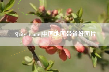 齐河中国地图带省份图片