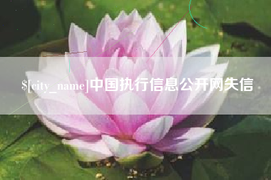 齐河中国执行信息公开网失信
