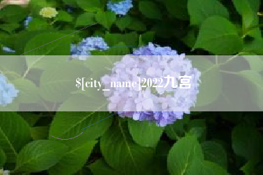 齐河2022九宫