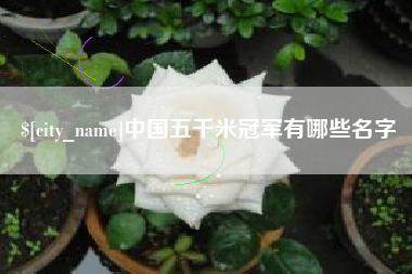 齐河中国五千米冠军有哪些名字
