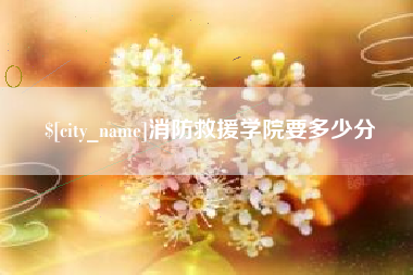 齐河消防救援学院要多少分