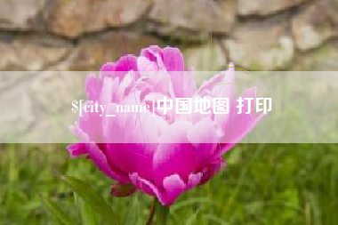 齐河中国地图 打印