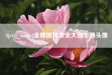 齐河金牌图片大全大图卡通头像