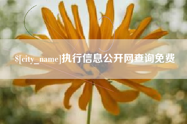 齐河执行信息公开网查询免费
