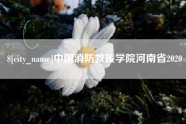 齐河中国消防救援学院河南省2020